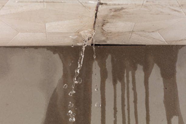 Professional Water Damage Restoration technician working in Melissa, TX